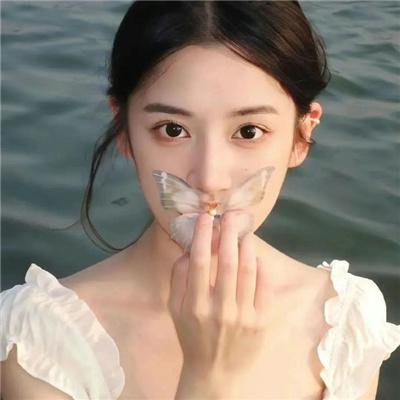 与螂共舞